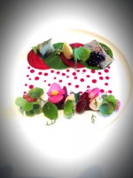 /album/daniela-cicioni/a20151019-155115518-ios-jpg/