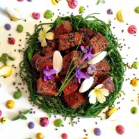 /album/daniela-cicioni/img-2105-jpg/