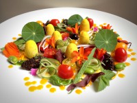 /album/daniela-cicioni/img-6742-jpg/