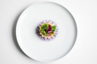 /album/galleria-foto-homepage/dsc-0554-jpg/