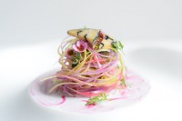 /album/daniela-cicioni/dsc-0827-jpg/