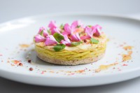 /album/daniela-cicioni/dsc-0560-jpg1/