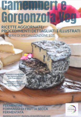 Ebook 2 Camembert e Gorgonzola Veg € 25,00